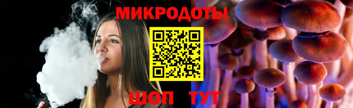 Псилоцибиновые грибы Psilocybe Нягань